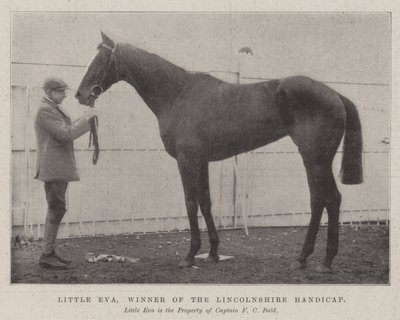 Little Eva, gagnante du Lincolnshire Handicap - English Photographer