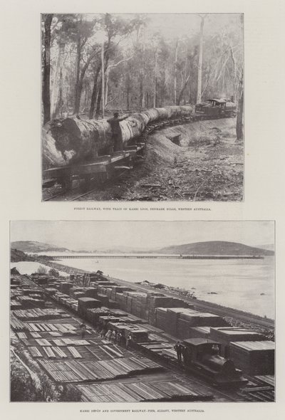 Exploitation forestière en Australie - English Photographer