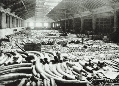 London Docks : entrepôt d