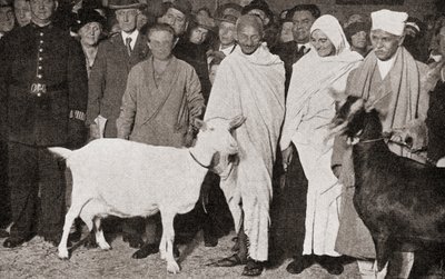 Mahatma Gandhi arrive à Londres, Angleterre en 1931 avec son disciple, Madeleine Slade, et ses deux chèvres, de L
