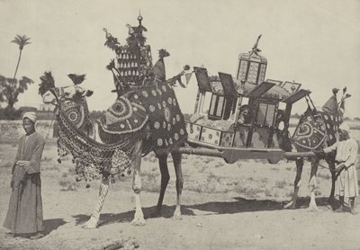 Cérémonie de mariage au Caire - English Photographer
