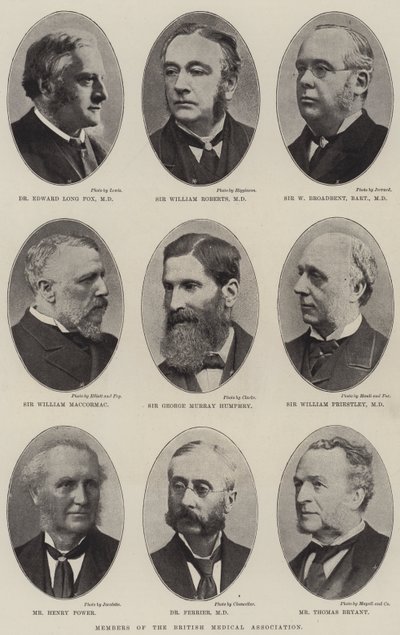 Membres de l