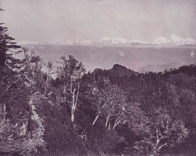 Mont Everest, depuis Sandakphoo, Darjeeling - English Photographer
