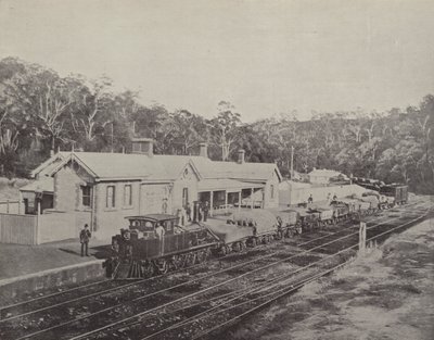Gare de Mount Lofty, Chemin de Fer d