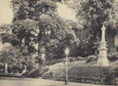 Jardins de Northernhay, Exeter, Devon - English Photographer