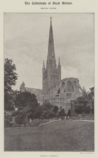 Cathédrale de Norwich - English Photographer