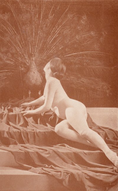 Art nudiste: Envie - English Photographer