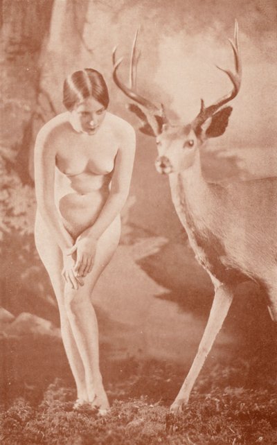 Art nudiste : Idylle forestière - English Photographer