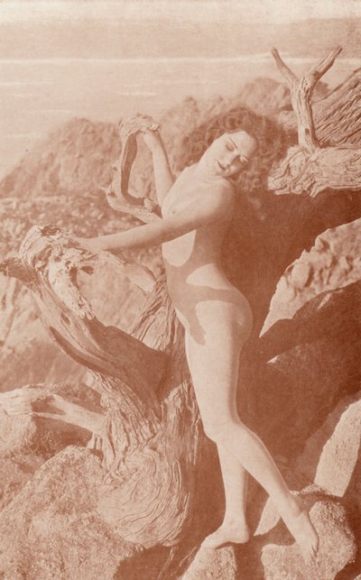 Art nudiste : L