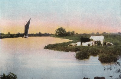 Sur la Bure - English Photographer