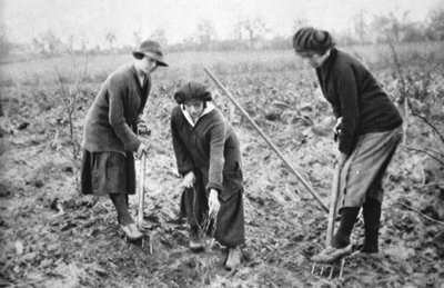 Agréable, rentable, patriotique : dans une ferme fruitière à Letchmore Heath, près de St. Albans, de The Illustrated War News, 2 août 1916 - English Photographer