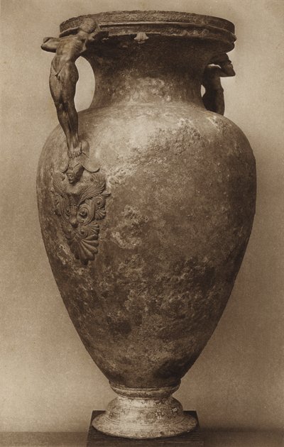 Vase Pourtalès - English Photographer