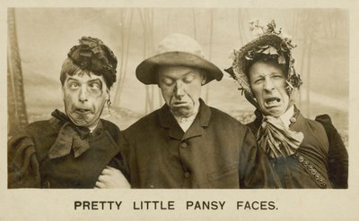 Jolies petites faces de pensées - English Photographer