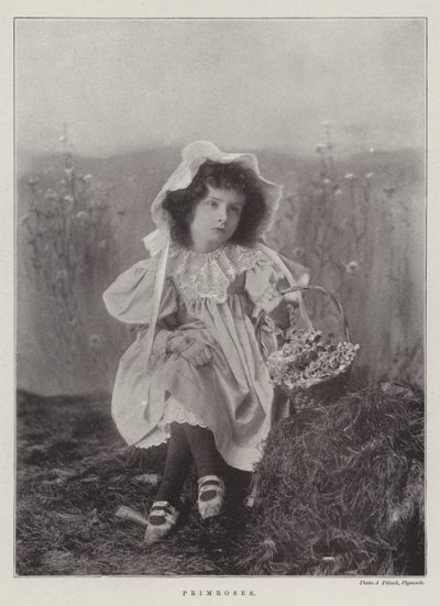Primevères - English Photographer