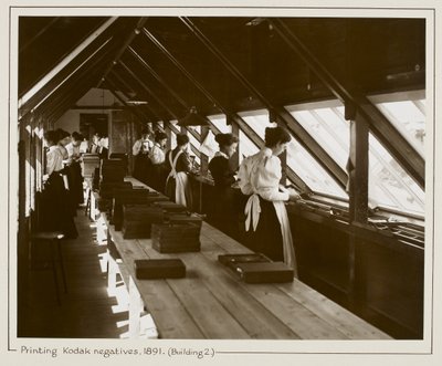 Impression de négatifs Kodak par la lumière du soleil, Bâtiment 2, Harrow - English Photographer