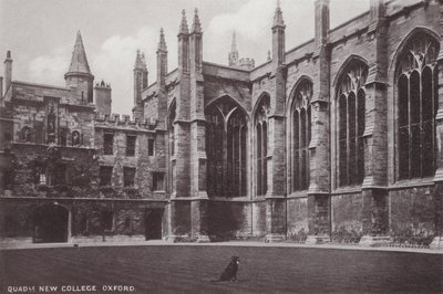 Cour de New College, Oxford - English Photographer