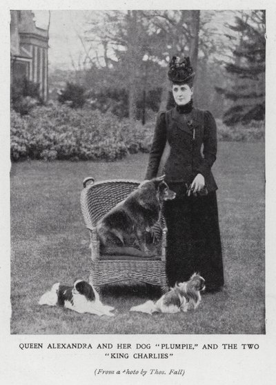 Reine Alexandra avec son chien, Plumpie, et ses deux épagneuls King Charles - English Photographer