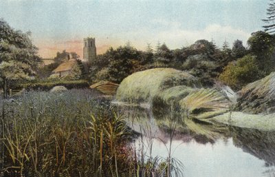Reed Staithe, Ranworth - English Photographer
