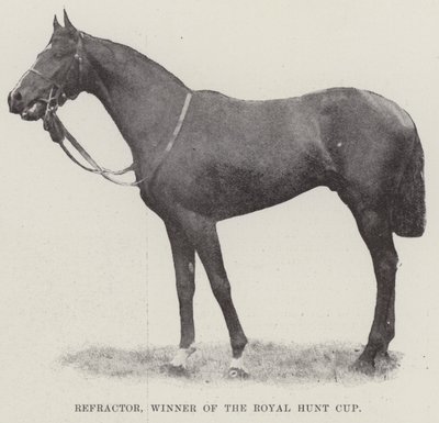 Refractor, vainqueur de la Royal Hunt Cup - English Photographer