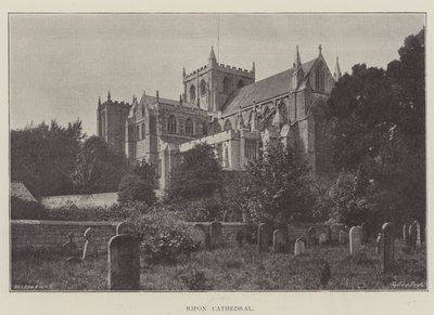 Cathédrale de Ripon - English Photographer