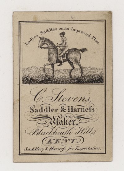 Saddler et Harness Maker, C Stevens, carte de visite - English Photographer