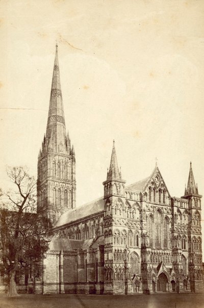 Cathédrale de Salisbury - English Photographer