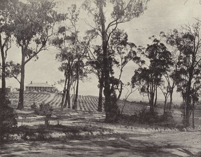 Scène sur la route de Gembrook, Victoria - English Photographer