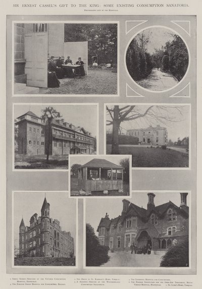 Le don de Sir Ernest Cassel au roi, quelques sanatoriums existants pour la tuberculose - English Photographer