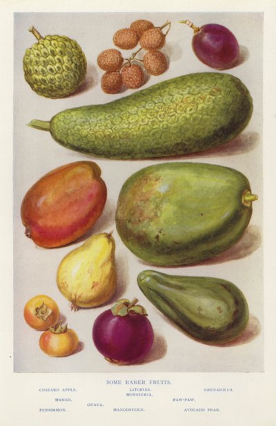 Quelques fruits rares - English Photographer