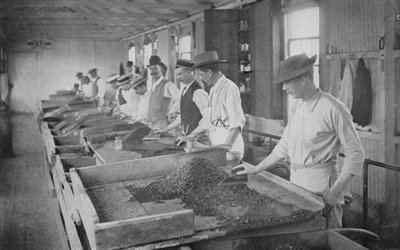 Afrique du Sud: Tables de Recherche, Mines de Diamants De Beers, Kimberley - English Photographer