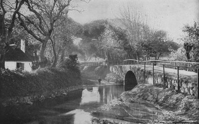Afrique du Sud: Le Pont, Mowbray - English Photographer