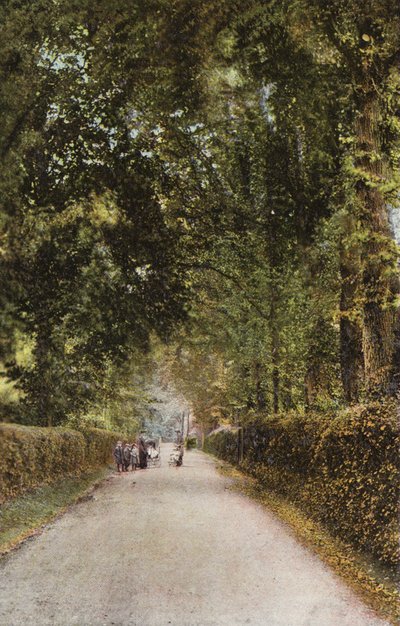Spencer Road, Ryde - English Photographer