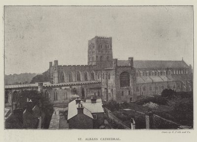 Cathédrale de Saint-Albans - English Photographer