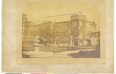 Hôpital St. Thomas, Surrey Gardens - English Photographer