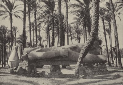 Statue de Ramsès II, allongée dans la ville que Jérémie a dit devoir être sans habitant - English Photographer