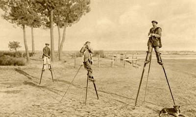 Echasses (photo n/b) - English Photographer