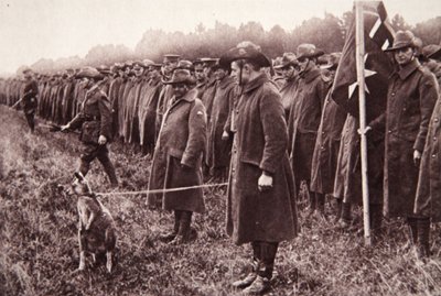 La revue des Anzacs sur Salisbury Plain : une mascotte australienne, illustration de The Illustrated War News, 27 septembre 1916 - English Photographer