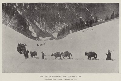 Les Buffs traversant le col de Lowari - English Photographer