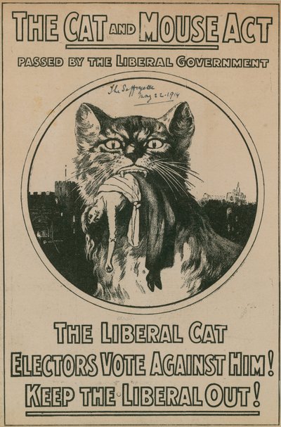 La Loi du Chat et de la Souris - English Photographer