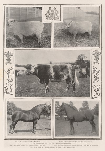 Le salon du bétail à Cardiff, le lauréat royal et d