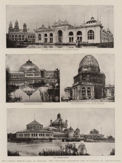 La Prochaine Exposition Universelle à Chicago, les Principaux Bâtiments en Cours de Construction - English Photographer