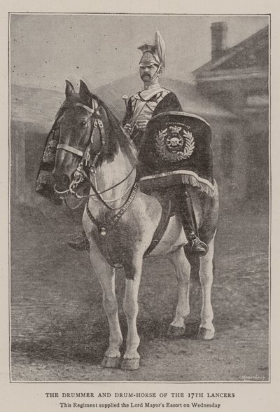 Le Tambour et le Cheval-Tambour du 17e Lanciers - English Photographer