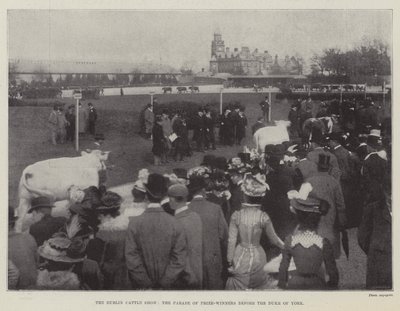 Le salon du bétail de Dublin, le défilé des lauréats devant le duc d