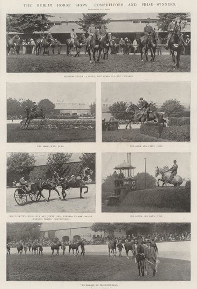 Le salon du cheval de Dublin, concurrents et lauréats - English Photographer