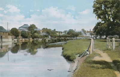 Les Ormes et la Tamise à Abingdon - English Photographer