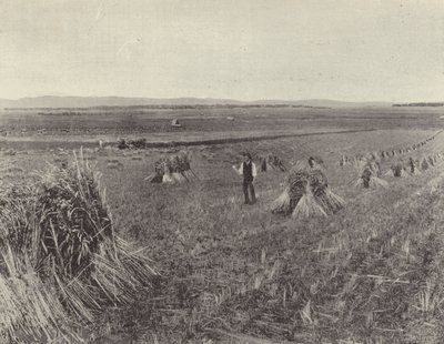 La ferme des collines vertes - English Photographer