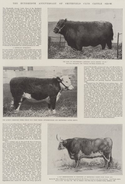 Le centième anniversaire du Smithfield Club Cattle Show - English Photographer