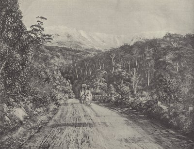 Route de Huon - English Photographer