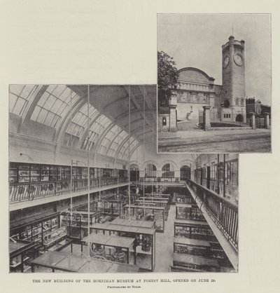 Le nouveau bâtiment du musée Horniman à Forest Hill, ouvert le 29 juin - English Photographer
