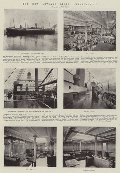 Le nouveau paquebot Leyland, Winifredian - English Photographer